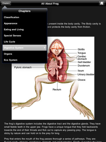 virtual frog dissection, http://PragmaticMom.com, pragmatic Mom