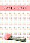 Rocky Road, Rose Kent, characters with special needs, pragmatic mom, pragmaticmom.com, best children's books to teach compassion