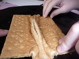 earthquake experiments for kids, plate tectonics experiment for kids, graham cracker earthquake project