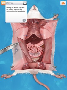 Virtual Rat Dissection iPad iPhone science app for kids children students PragmaticMom