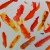 abstract koi fish art project for kids