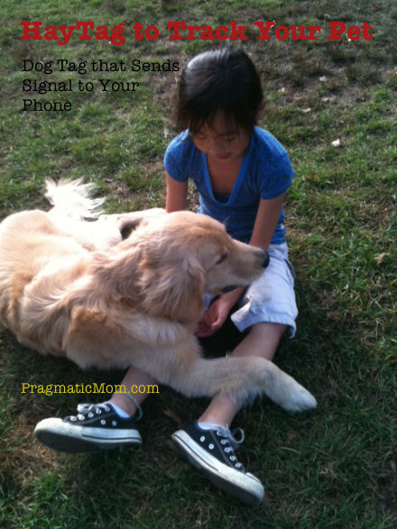 HayTag, dog tracking system, pet tracking device, use smartphone to track pets