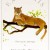 Felix Doolittle, book plates for kids, custom book plates, book labels for kids