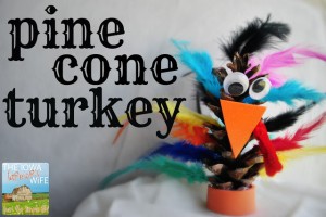 pinecone turkey, iowa farm wife