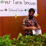 hydroponic lettuce, newton indoor farmers market