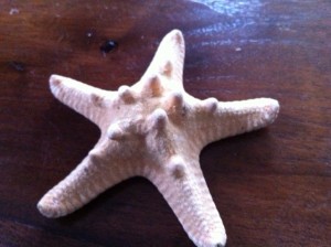 star fish shell art project for kids, arthur dove art project for kids
