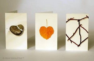 Felix Doolittle, mini cards, Valentine's cards, mini heart tin note cards, Newton