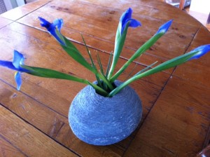 iris flowers, painting irises, 