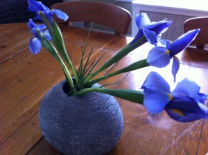 irises in bloom, iris book club