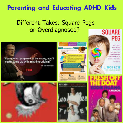 ADHD, ADD, ADHD parenting, parents with ADHD kids, ADHD TEDTalk, Square Pegs, special needs and education, ADHD and boys, ADD and boys, 