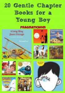 20 Gentle Chapter Books for a Young Boy