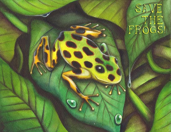 Save the Frogs art contest