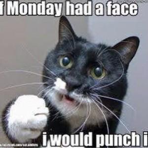 Punch Monday