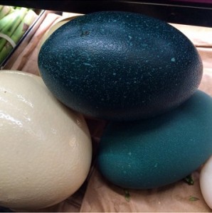Ostrich and Emu Eggs sold at Whole Foods Market