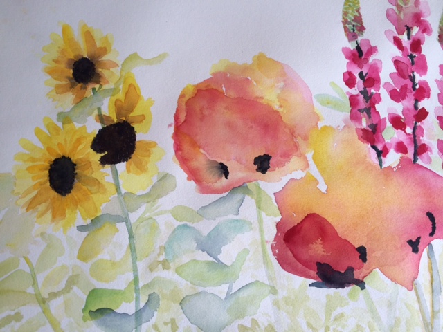 watercolor poppies sunflowers and lupins