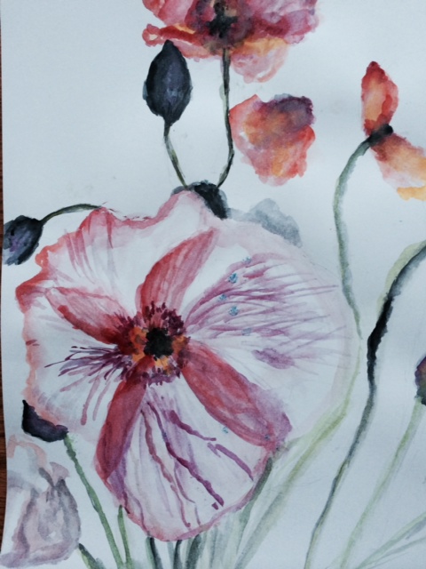 Mia Wenjen watercolor poppy