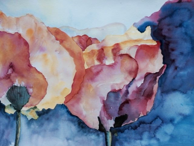 watercolor poppies, being creative 15 minutes a day