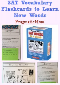 SAT Vocabulary Flashcards to Learn New Words