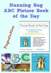 Stunning Bug ABC Picture Book