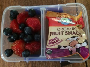 Horizon Organics snacks for kids