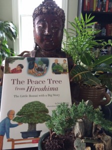 The Peace Tree from Hiroshima, bonsai