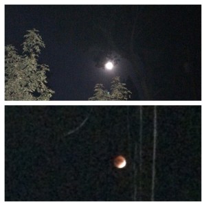 Bloodmoon super moon lunar eclipse Boston