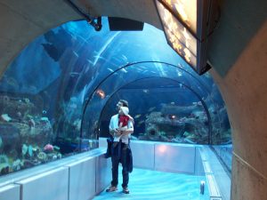 aquarium de quebec