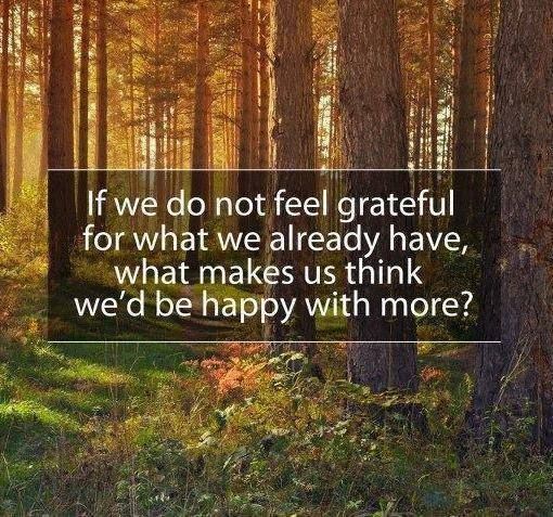giving back, happiness and gratitude quote