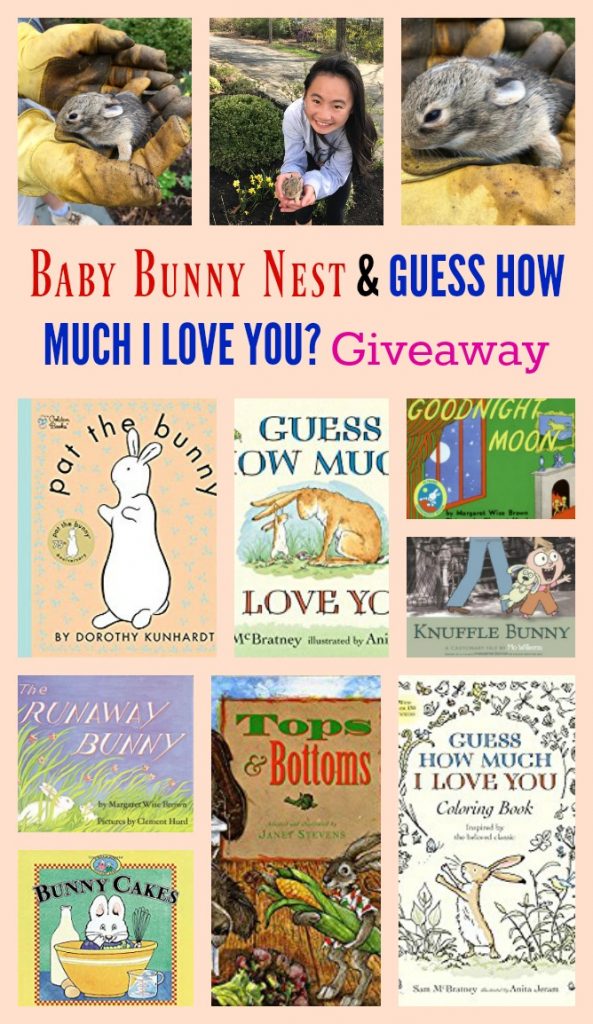 Baby Bunny Nest in Our Yard & GUESS HOW MUCH I LOVE YOU? Giveaway