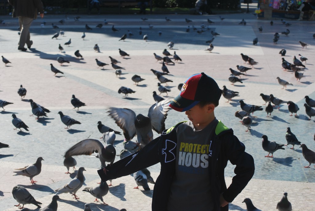 La Rambla, Las Ramblas, feeding pigeons, Barcelona