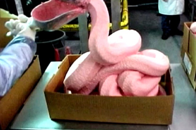 pink slime and McDonalds