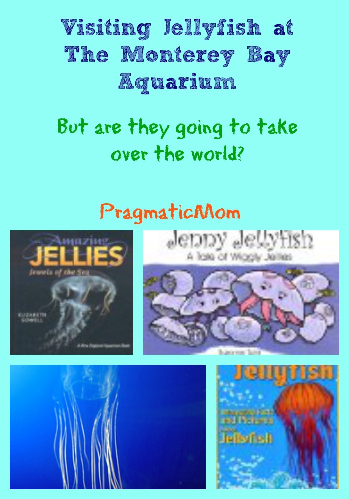 Jellyfish, jelly fish, Monterey Bay Aquarium, will jellyfish take over the world?