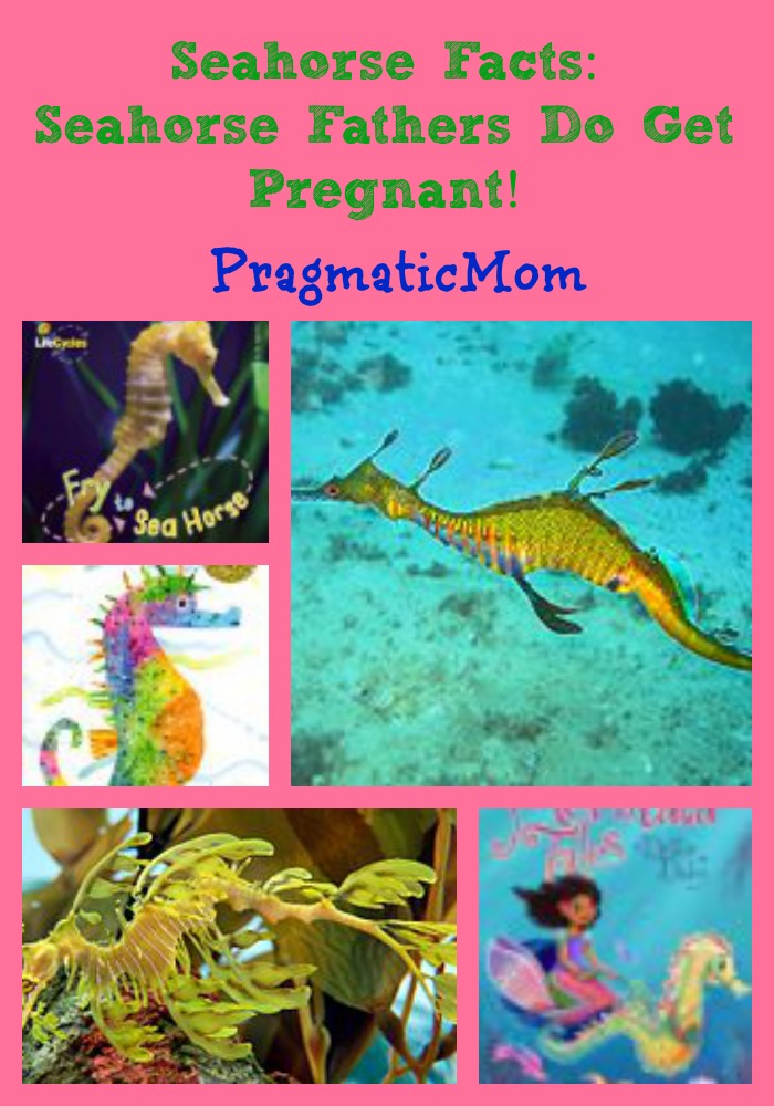 seahorse facts for kids, seahorse books for kids