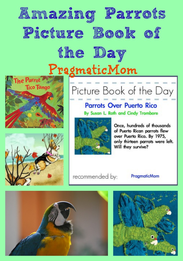 picture books about parrots, Picture Book of the Day, Parrots Over Puerto Rico