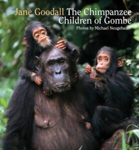 The Chimpanzee Children of Gombe by Jane Goodall, photographs by Michael Neugebauer