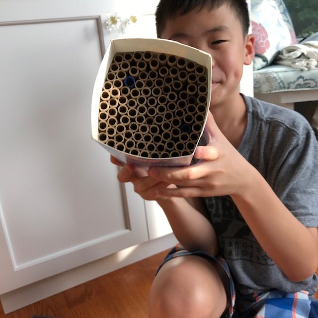 DIY Bee House STEM Project for Kids
