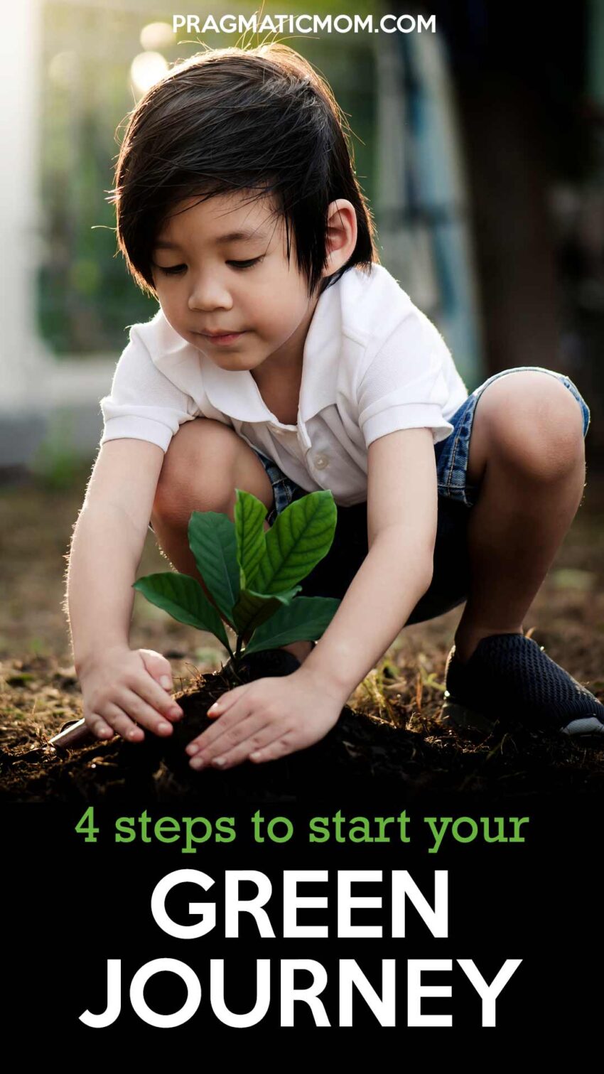 4 Simple Steps to Start Your Green Journey Today