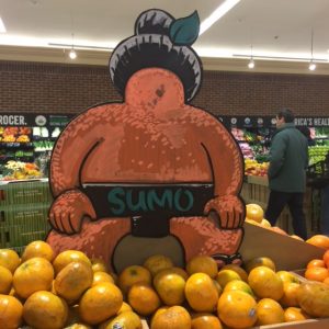 15 year old Exotic Fruit Challenge: Sumo Orange