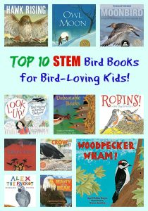Top 10 STEM Bird Books for Bird-Loving Kids!