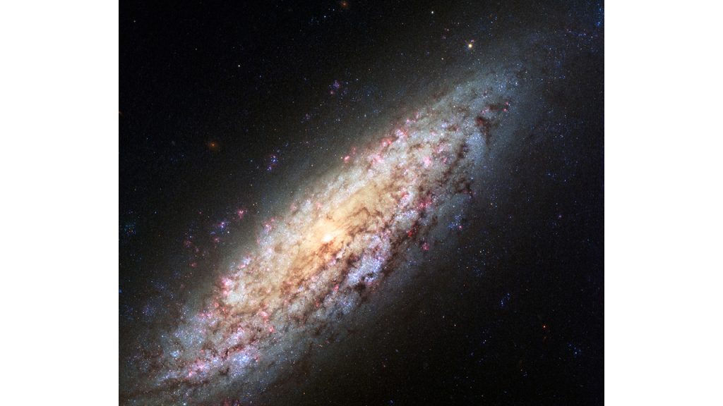 Spiral Galaxy NGC 6503 from HubbleSite