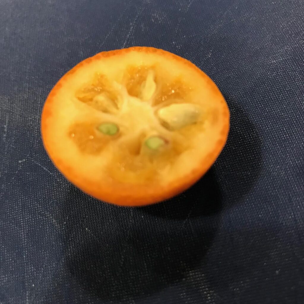 kumquat cut open