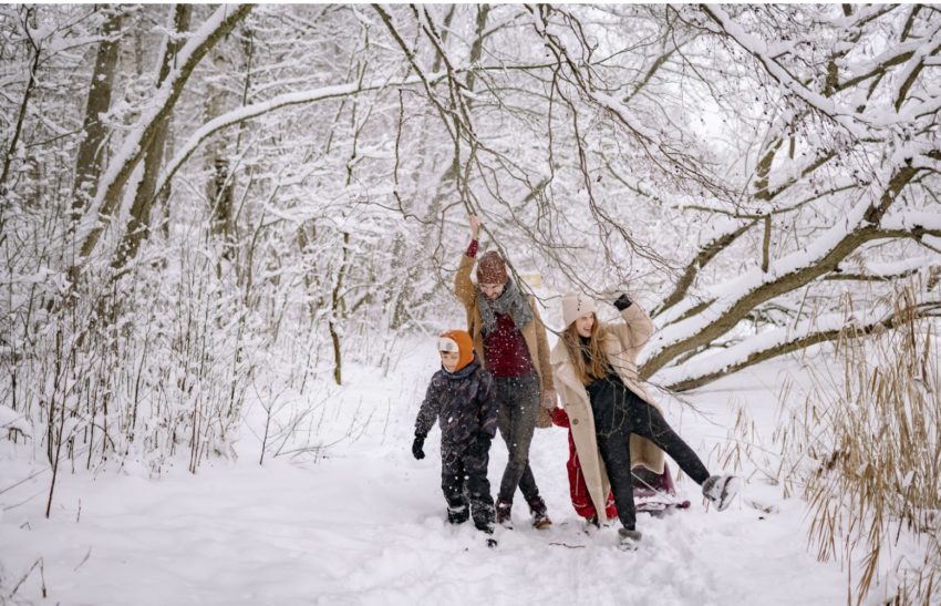 Three Fun Ways To Create Joy This Winter