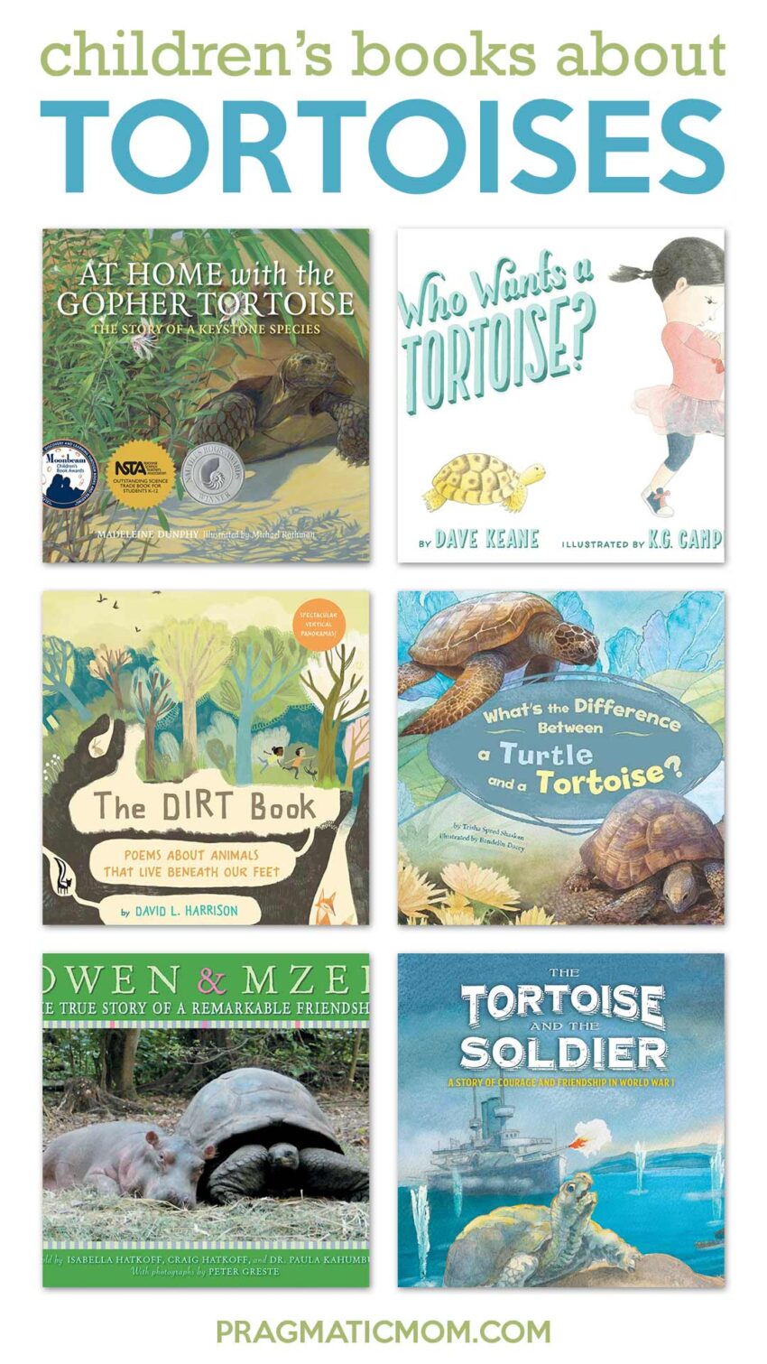 Children's Books to Fall In Love with a Tortoise