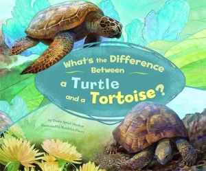 What's the Difference Between a Turtle and a Tortoise? by Trisha Speed Shaskan and Bandelin Dacey Studios