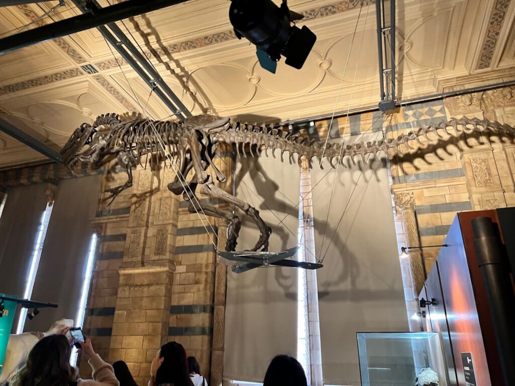 The Natural History Museum in London dinosaur exhibit