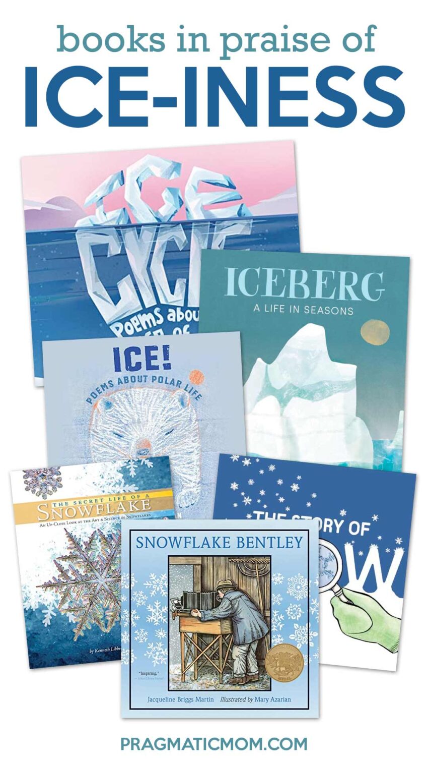 All Hail: Five Books in Praise of Ice-iness