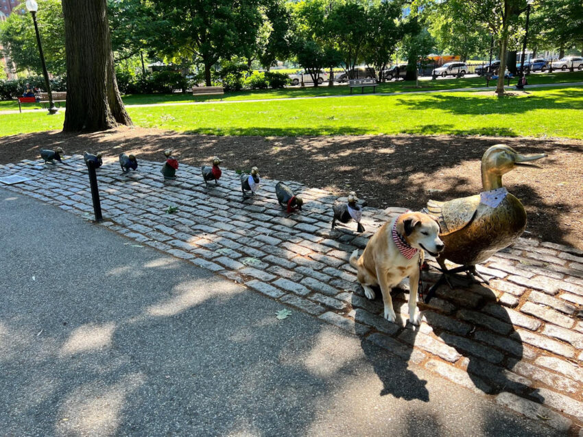 Visiting the Make Way for Ducklings in the Boston