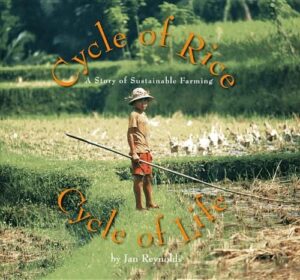 Cycle of Rice, Cycle of Life: A Story of Sustainable Farming by Jan Reynolds