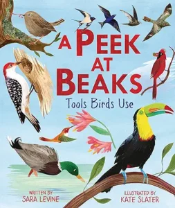 A Peek at Beaks: Tools Birds Use by Sara Levine and Kate Slater