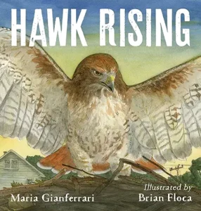 Hawk Rising by Maria Gianferrari and Brian Floca